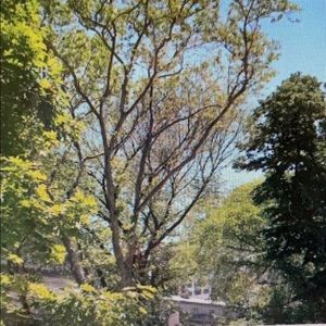 Meet your Posher, Anabeth